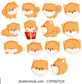 Pomeranian Vector Set