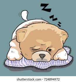 Pomeranian,sleep