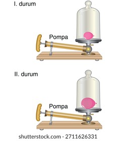 pompa, vidro, balão, hava, deney