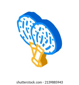 pompom for cheerleaders isometric icon vector. pompom for cheerleaders sign. isolated symbol illustration