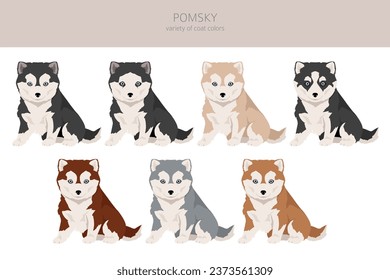 Pomsky clipart. Pomeranian Husky mix. Different coat colors set.  Vector illustration