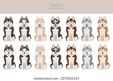 Pomsky clipart. Pomeranian Husky mix. Different coat colors set.  Vector illustration