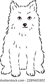 Ilustración de Pomsky (perro mixto de Pomeranian y Siberian Husky)