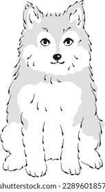 Ilustración de Pomsky (perro mixto de Pomeranian y Siberian Husky)