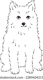 Ilustración de Pomsky (perro mixto de Pomeranian y Siberian Husky)