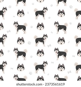 Pomsky seamless pattern. Pomeranian Husky mix. Different coat colors set.  Vector illustration