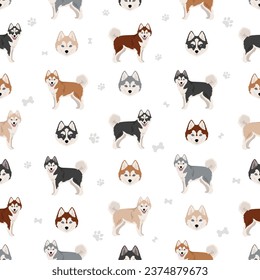 Pomsky seamless pattern. Pomeranian Husky mix. Different coat colors set.  Vector illustration