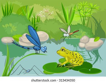 At the pond