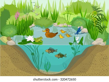 At the pond  - Shutterstock ID 320472650