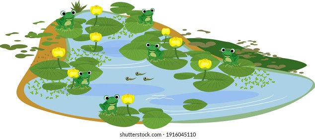 Pond with cartoon frogs and tadpoles. Pond overgrown with flowering yellow water-lily (Nuphar lutea) with green leaves