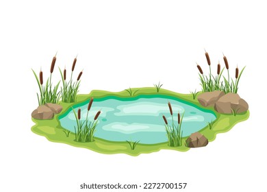 Pond with cattail and thickets. Swamp in grass and stones. Vector design illustration with wild vegetation