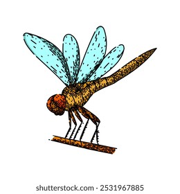 lagoa libélula desenhado à mão. predador aquático, ecossistema de biodiversidade, larvas habitat lagoa libélula esboço vetor.