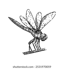 lagoa libélula puxado à mão. predador aquático, ecossistema de biodiversidade, larvas habitat lagoa libélula esboço vetor. ilustração preta isolada