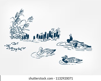 Pond Ducks Japanese Vector Sketch Illustration Engraved Chinese