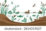 Pond ecosystem cross section with aquatic flora and fauna ecosystem wildlife environment illustration underwater dragonfly organism biodiversity creature landscape educational