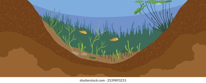 Pond ecosystem. Ecosystem of with different animals in their natural habitat. Pond ecosystem structure for biology lessons. Vector cartoon illustration