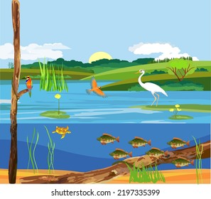 Pond Ecosystem Underwater Pond Landscape Fishes Stock Vector (royalty 