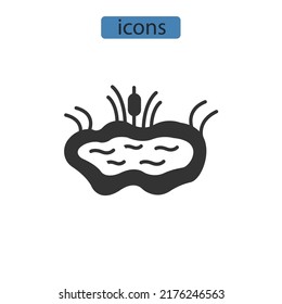 Símbolo de iconos de estanque elementos vectores para web infográfica