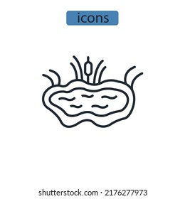 Pond icons  symbol vector elements for infographic web