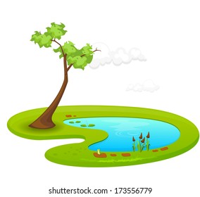 Pond - Illustration