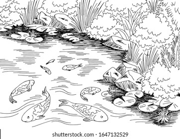 Pond koi carp fish graphic black white landscape sketch illustration vector