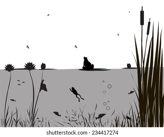 pond life, under the water, river's animal, shadows, black and white, vector