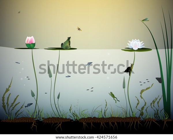 pond life, under the water, river\'s animal,\
shadows, black and white,\
vector