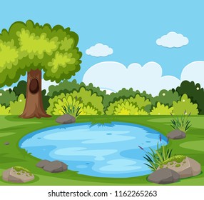 A pond in the nature illustration