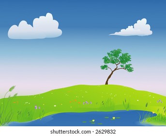 pond on a spring day with wildflowers in the field