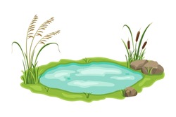 Pond With Reed And Sedge Vegetation. Vector Illustration Of Swamp With Grass On White Background. Wild Thickets Near The Lake
