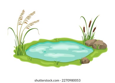Pond with reed and sedge vegetation. Vector illustration of swamp with grass on white background. Wild thickets near the lake