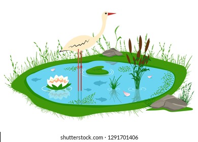 Pond with reeds, lily, grass, stones and a stork. Vector cartoon illustration of a lake isolated on white background.