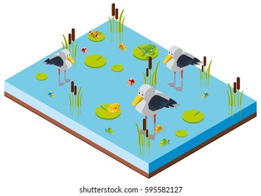 Pond scene with birds in 3D design illustration