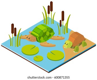 Pond scene with two turtles in 3D design illustration