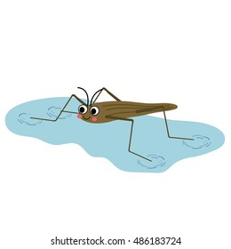 Pond Skater walking on water animal cartoon character isolated on white background.