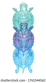 Pond slider. turtle. Doodling coloring book. A drawing with many details. Meditative coloring. Dots, strokes, patterns.