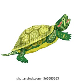 Pond Slider Turtle Green A Smiling Vector Illustration