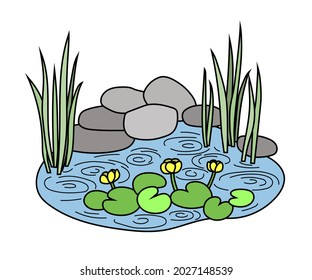 Pond with water lilies and reeds in a simple flat graphic outline style. Isolated vector color hand-drawn illustration of small reservoir with aquatic plants, stones and rain circles on the water