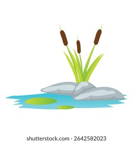 lagoa de plantas aquáticas com fundo branco separado