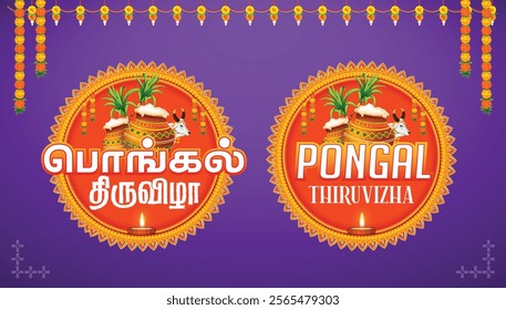 Pongal Festival Offer Banner Tamil and English. Sticker, Label Design with Purple Background