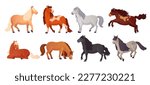 Ponies breeding. Cartoon cute pony shetland breed, farm beautiful little horses with child tails, kid horse lying poni animal, isolated ingenious vector illustration of horse-breeding and shetland