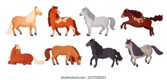 Los ponis se reproducen. Caricatura linda raza de un pony de shetland, cría hermosos caballos con colas para niños, caballo de niño tirado en un animal de poni, aislado ingenioso ejemplo vectorial de crianza de caballos y de humedales