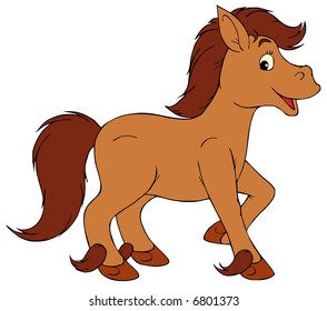 Pony