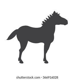Pony icon. 