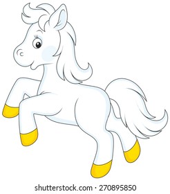 Pony running