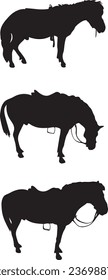 Siluetas Pony Set - Ilustración vectorial
