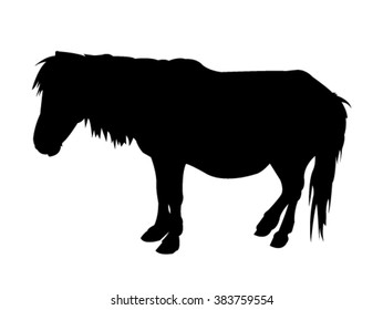 Pony Silhouette on White Background