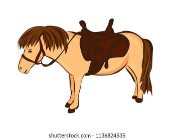 Pony, Vector hand drawing. The pony rides.