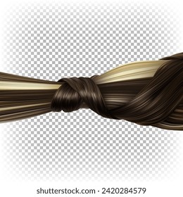 Cola de cola de caballo hecha de vectores 3D de pelo realista. Hermoso peinado. Antecedentes para la publicidad de una peluquería, tinte capilar, champú. El pelo marrón teñido con varas ligeras. Destacar la técnica.