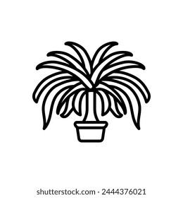 Ponytail Palm icon in vector. Logotype